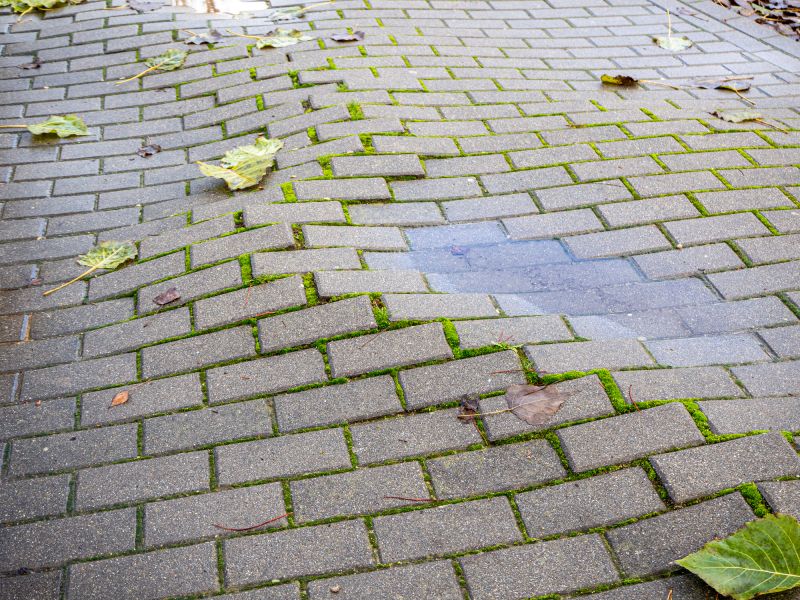 Sunken Paver Repair